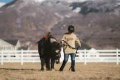 HYPE YOUTH HOODIE -Mtn Ops Shop hype youth hoodieyouth hoodie8254718001 440570